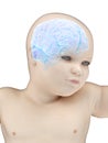 A babys brain