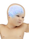 A babys brain