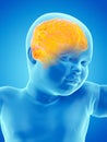 A babys brain Royalty Free Stock Photo
