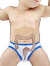 A babys colon Royalty Free Stock Photo