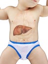 A babys liver Royalty Free Stock Photo