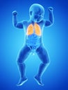 A babys lung Royalty Free Stock Photo