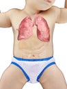 A babys lung Royalty Free Stock Photo