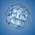 A basophil