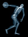 A discus thrower x-ray