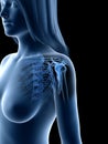 A females shoulder bones Royalty Free Stock Photo