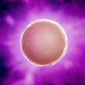 A fertilized egg cell Royalty Free Stock Photo