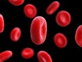 human blood cells Royalty Free Stock Photo