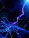 an human nerve cell Royalty Free Stock Photo