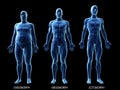 The male body types Royalty Free Stock Photo
