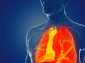 A mans lung Royalty Free Stock Photo