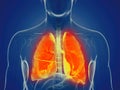 A mans lung Royalty Free Stock Photo