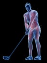 the muscles of a golf player Royalty Free Stock Photo