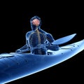 The nervous system of a canoeist Royalty Free Stock Photo