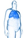 an obese mans lung Royalty Free Stock Photo