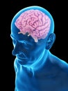 an old mans brain Royalty Free Stock Photo
