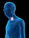an old mans thyroid gland Royalty Free Stock Photo