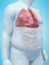 An overweight mans lung Royalty Free Stock Photo