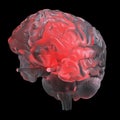 Red glowing glass brain