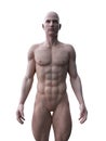 ripped male model