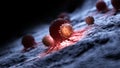 White blood cells attacking a cancer cell Royalty Free Stock Photo