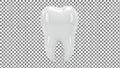 3D Rendered Single White Tooth on Checkered Background Royalty Free Stock Photo
