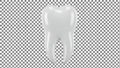 3D Rendered Tooth on Checkered Background Royalty Free Stock Photo