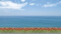 3d renderin gof beautiful beach styled and at the beach in sunlight