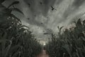 3d Rendering of aisle in the middle of green cornfield in front of dramatic sky and flying crows. Selective focus