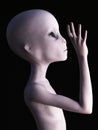 3D rendering of an alien.