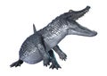 3D Rendering Alligator Caiman on White