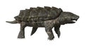 3D Rendering Alligator Snapping Turtle on White Royalty Free Stock Photo