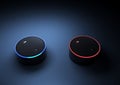 3d rendering of Amazon Echo voice recognition system Royalty Free Stock Photo