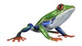 3D Rendering Amazon Tree Frog on White