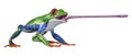 3D Rendering Amazon Tree Frog on White