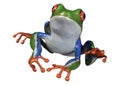 3D Rendering Amazon Tree Frog on White