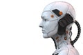 Android Robot Cyborg Woman Humanoid  Side View - 3d Rendering