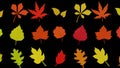 3D rendering. Autumn colored leaves pattern with an isolated black background. Autumn design pattern for fabric or other design Royalty Free Stock Photo