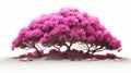 3d Rendering Of Azalea Field In The Style Of David Burdeny