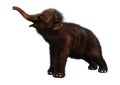 3D Rendering Baby Woolly Mammoth on White