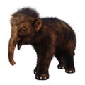 3D Rendering Baby Woolly Mammoth on White