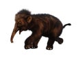 3D Rendering Baby Woolly Mammoth on White