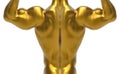3d rendering. Back view of Golden muscle body building sculpture with clipping path isolated on white background.