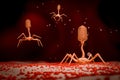3D Rendering of Bacteriophage Virus on Bacterial Cell Royalty Free Stock Photo