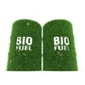 3D rendering barrels of biofuels