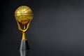 3d rendering of the basketball golden trophy on dark background studio shot, clipping paths