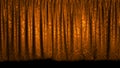 3D rendering of a beautiful curtain for a theater or opera stage
