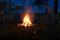 3d rendering of big bonfire with sparks in the jungle forest at the night