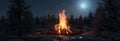 3d rendering of big bonfire with sparks and particles in front of snowy pine trees and moonlight Royalty Free Stock Photo
