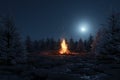 big bonfire with sparks and particles in front of snowy pine trees and moonlight sky Royalty Free Stock Photo